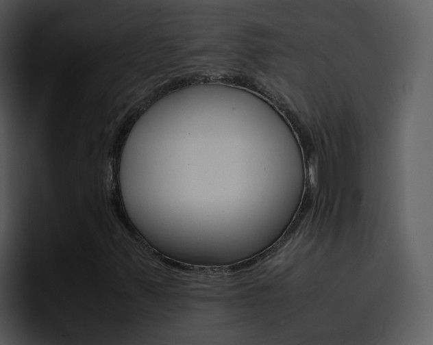 X0000096981347200802080851