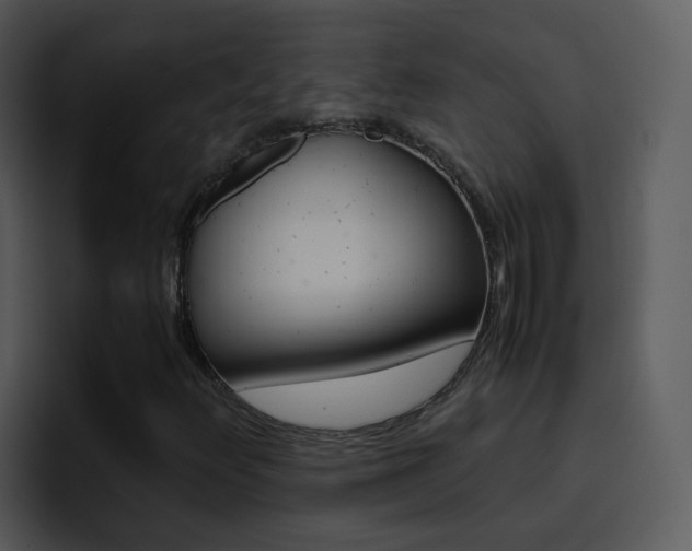 X0000096981348200802080851