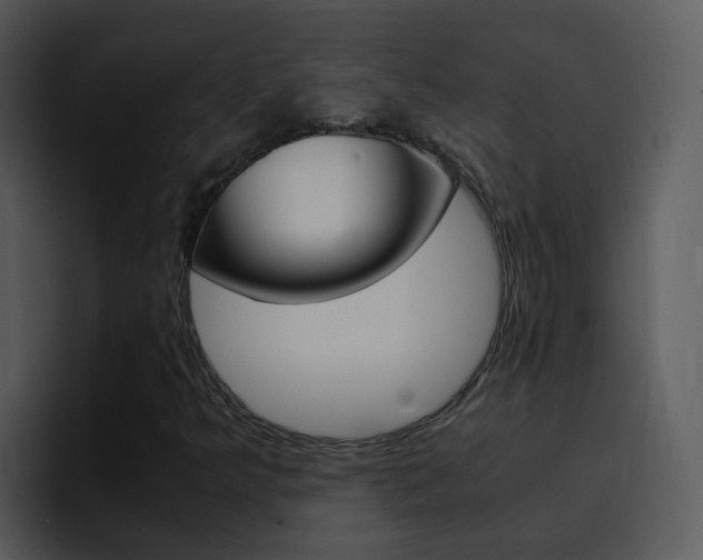 X0000096981349200802080851