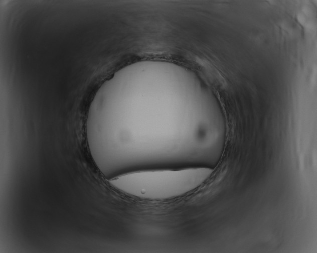 X0000096981350200802080851