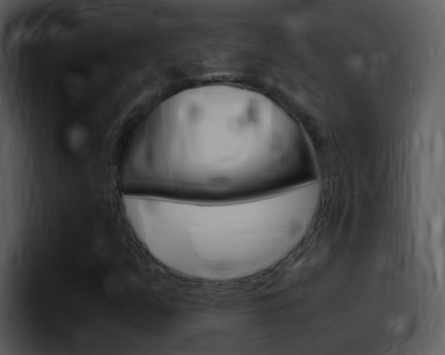 X0000096981351200802080851