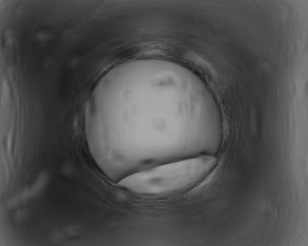 X0000096981353200802080851