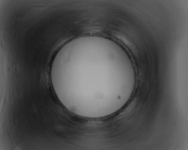 X0000096981354200802080851