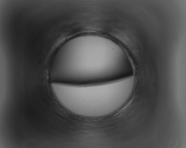 X0000096981355200802080851