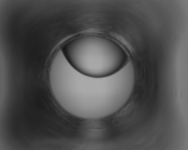 X0000096981356200802080851