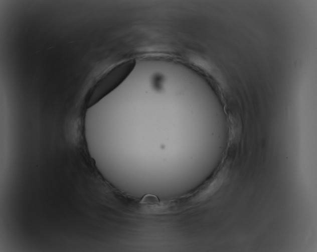 X0000096981357200802080851
