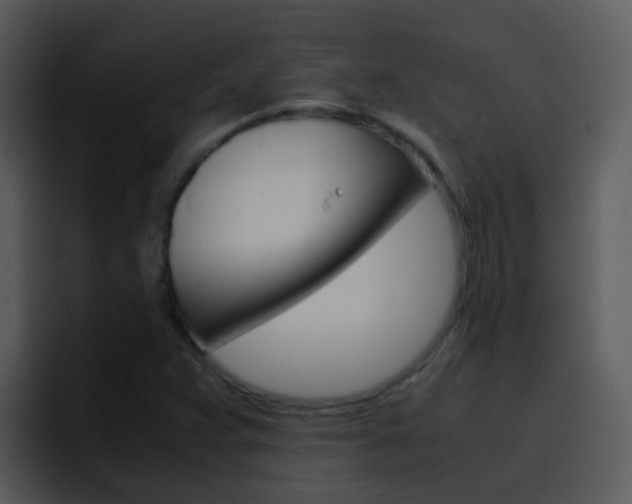 X0000096981359200802080851