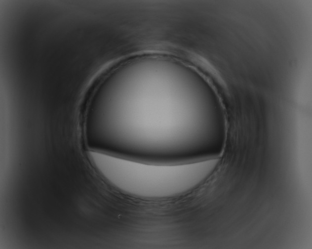 X0000096981360200802080851
