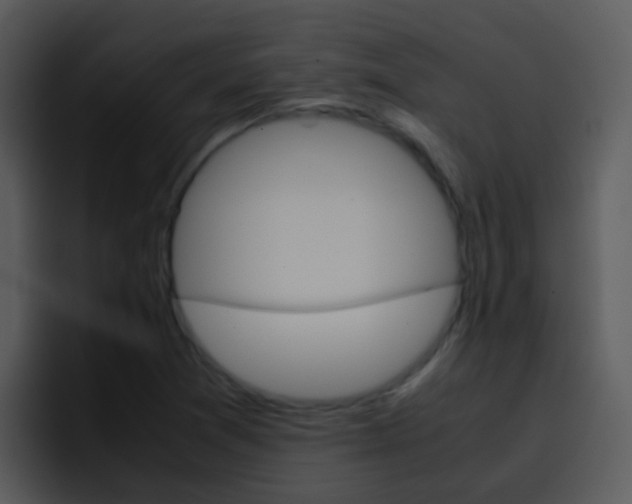 X0000096981361200802080851
