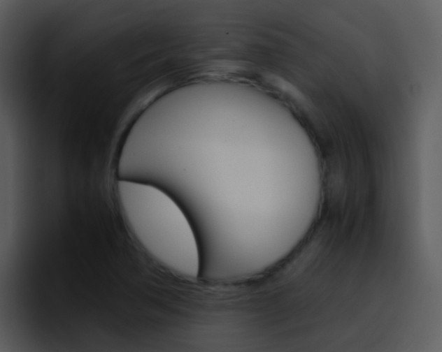 X0000096981362200802080851