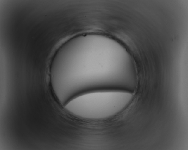 X0000096981363200802080851