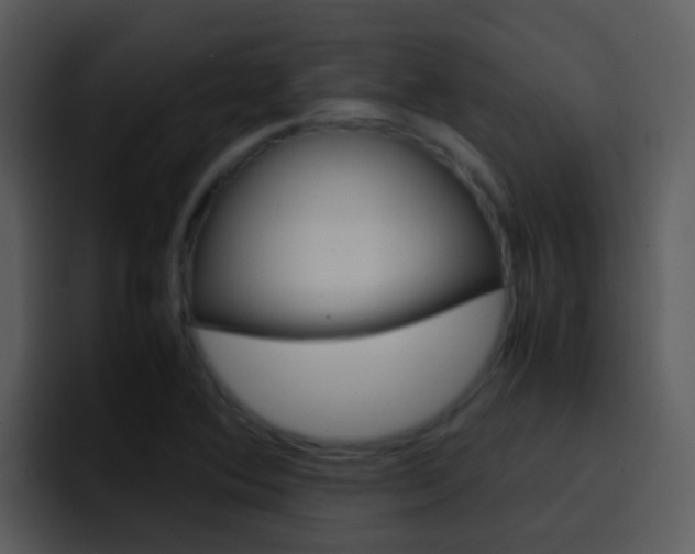 X0000096981364200802080851
