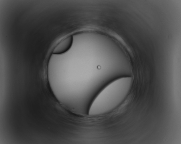 X0000096981366200802080851