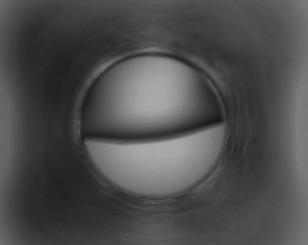 X0000096981367200802080851