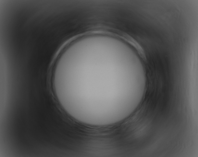 X0000096981368200802080851