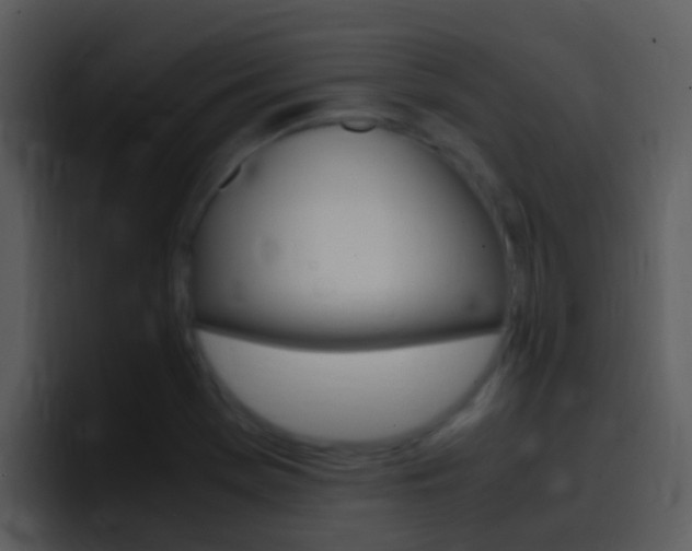 X0000096981369200802080851