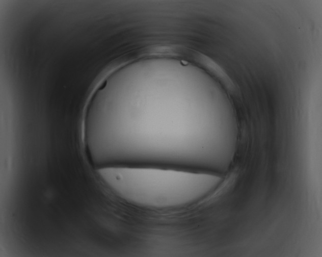 X0000096981370200802080851