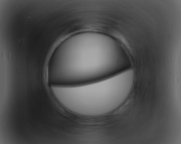 X0000096981371200802080851