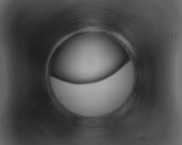 X0000096981372200802080851
