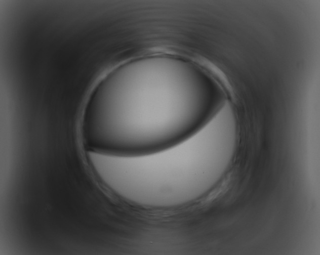 X0000096981373200802080851