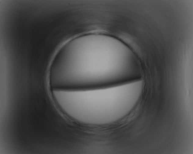 X0000096981375200802080851