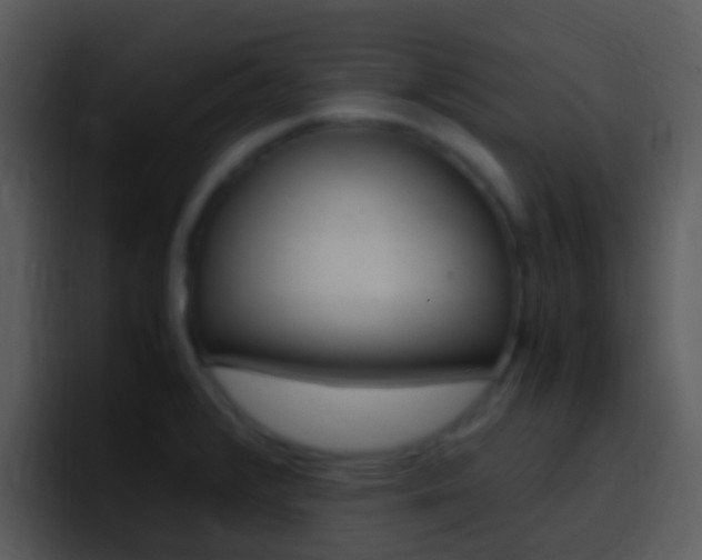X0000096981376200802080851