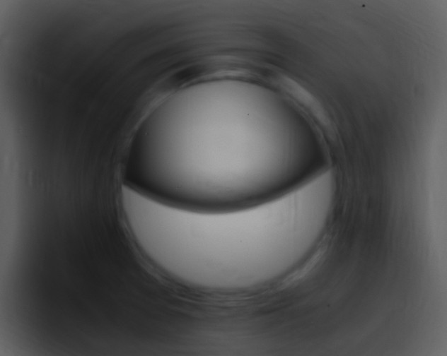 X0000096981377200802080851