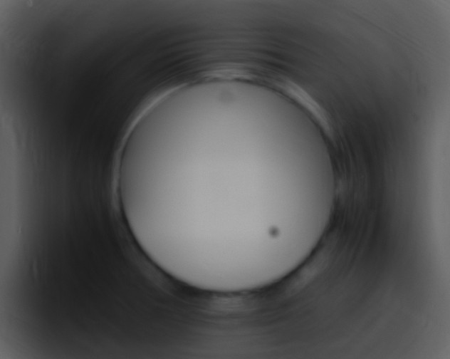 X0000096981378200802080851
