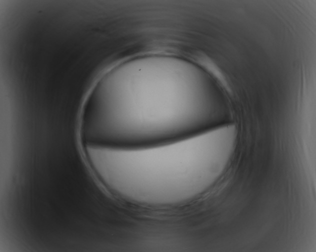 X0000096981379200802080851