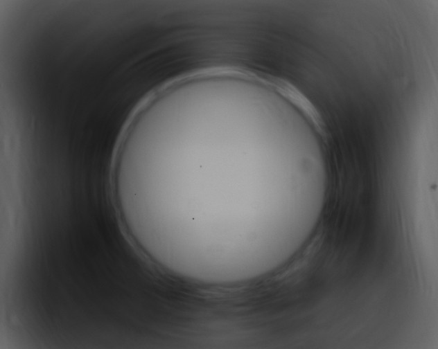 X0000096981380200802080851
