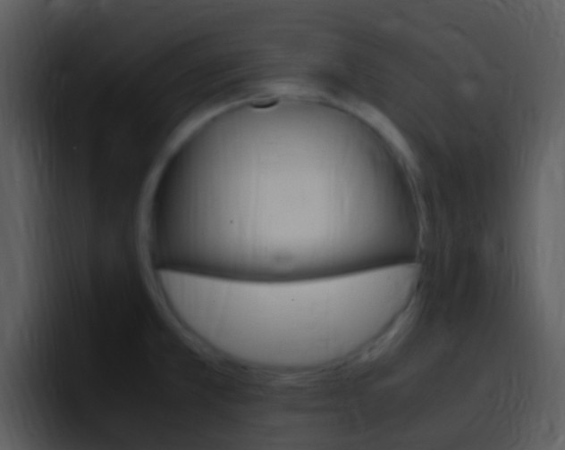 X0000096981381200802080851