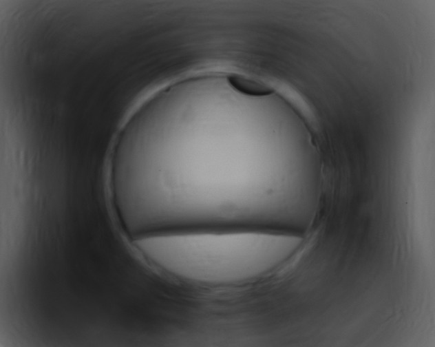 X0000096981382200802080851