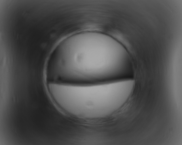 X0000096981383200802080851