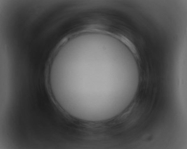 X0000096981384200802080851