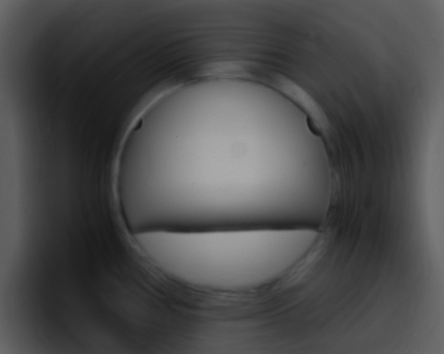 X0000096981386200802080851