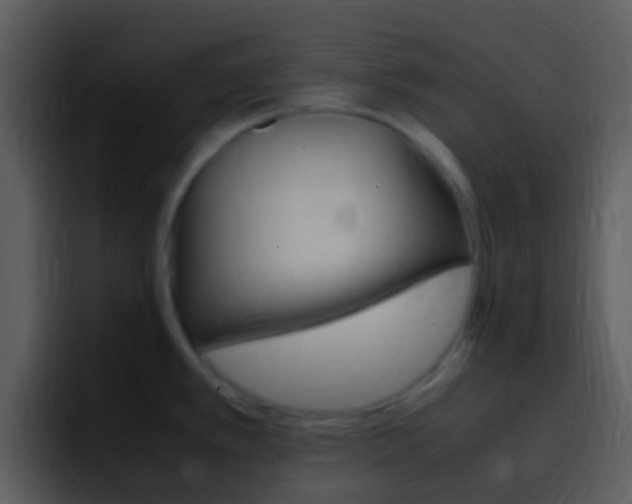 X0000096981389200802080850