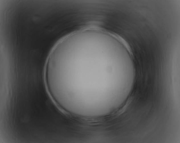 X0000096981391200802080850