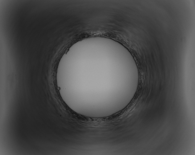 X0000096981393200802080850