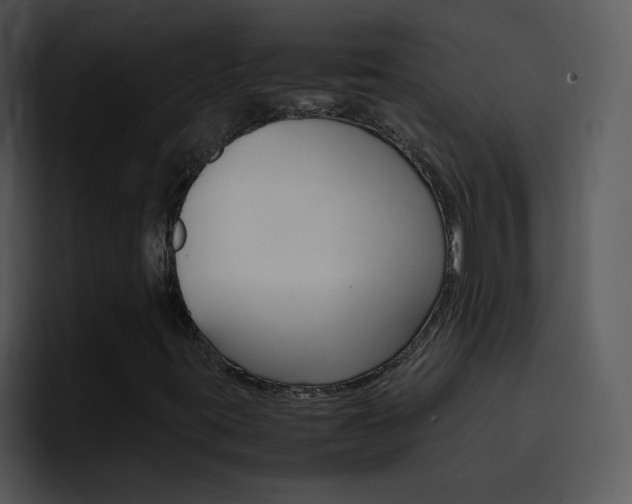 X0000096981395200802080850