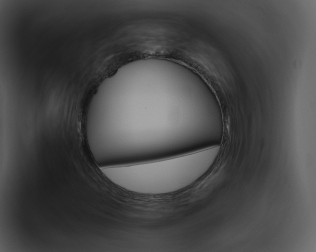 X0000096981396200802080850