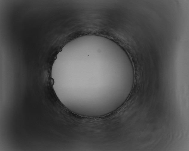 X0000096981397200802080850