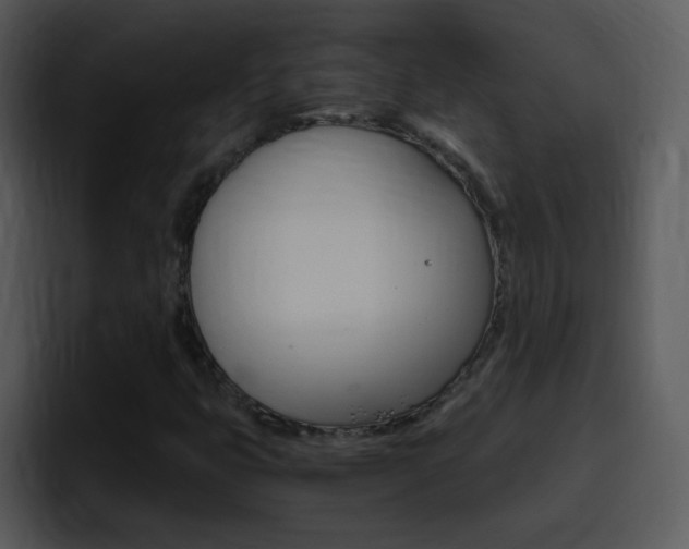 X0000096981399200802080850