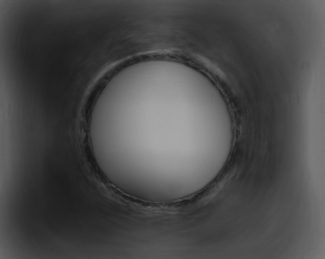 X0000096981400200802080850
