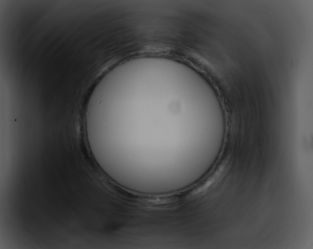 X0000096981401200802080850