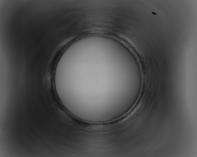 X0000096981402200802080850