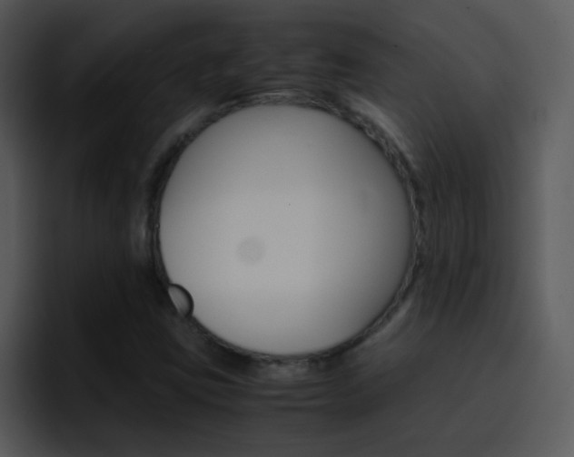 X0000096981403200802080850