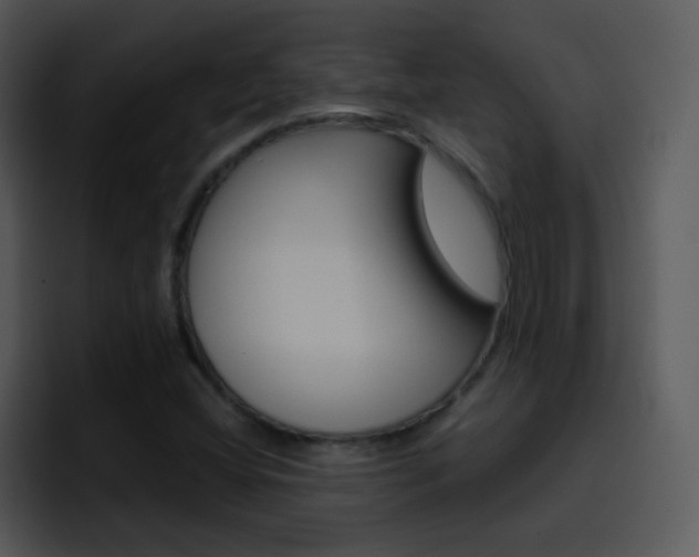 X0000096981404200802080850