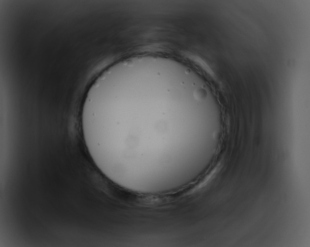 X0000096981405200802080850
