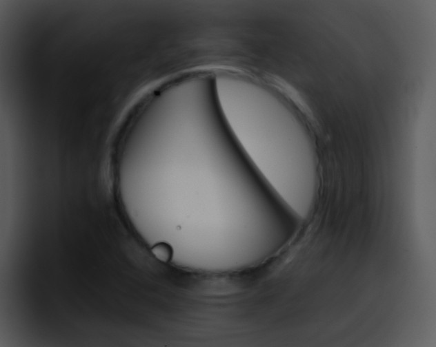 X0000096981408200802080850