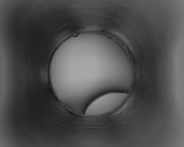 X0000096981409200802080850